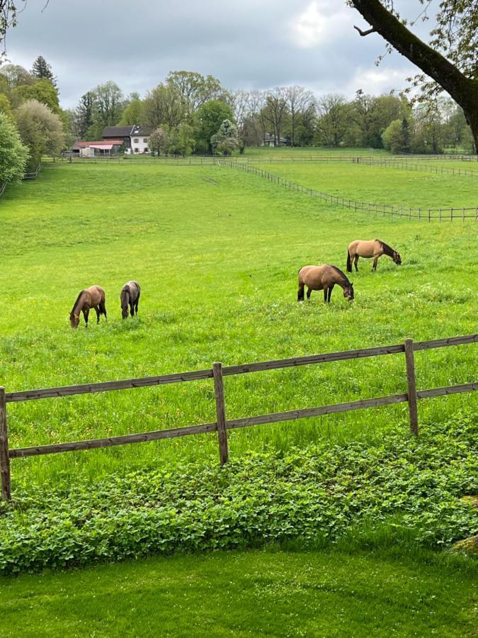 Herrenhaus - Starnberger See - Ammerland Münsing Exteriör bild