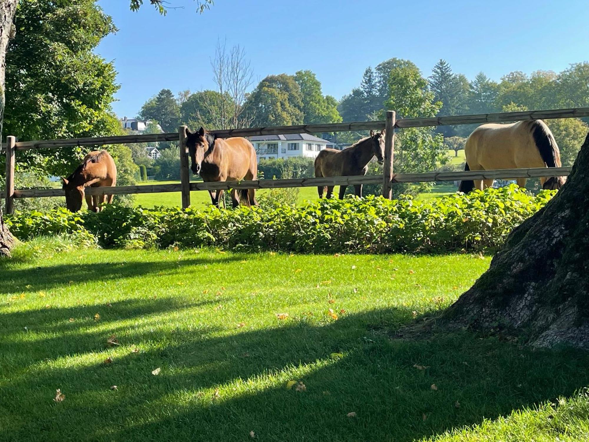 Herrenhaus - Starnberger See - Ammerland Münsing Exteriör bild